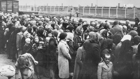 78. rocznica wyzwolenia KL Auschwitz – Birkenau