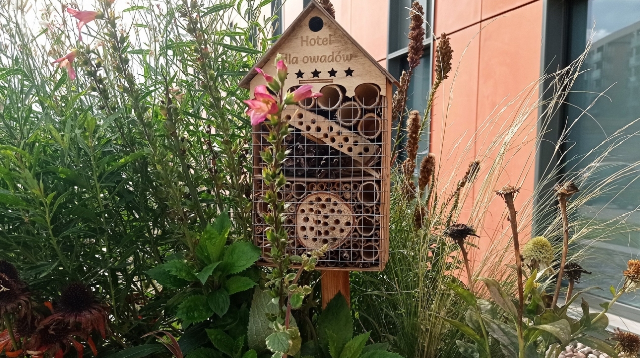Domki dla pszczół