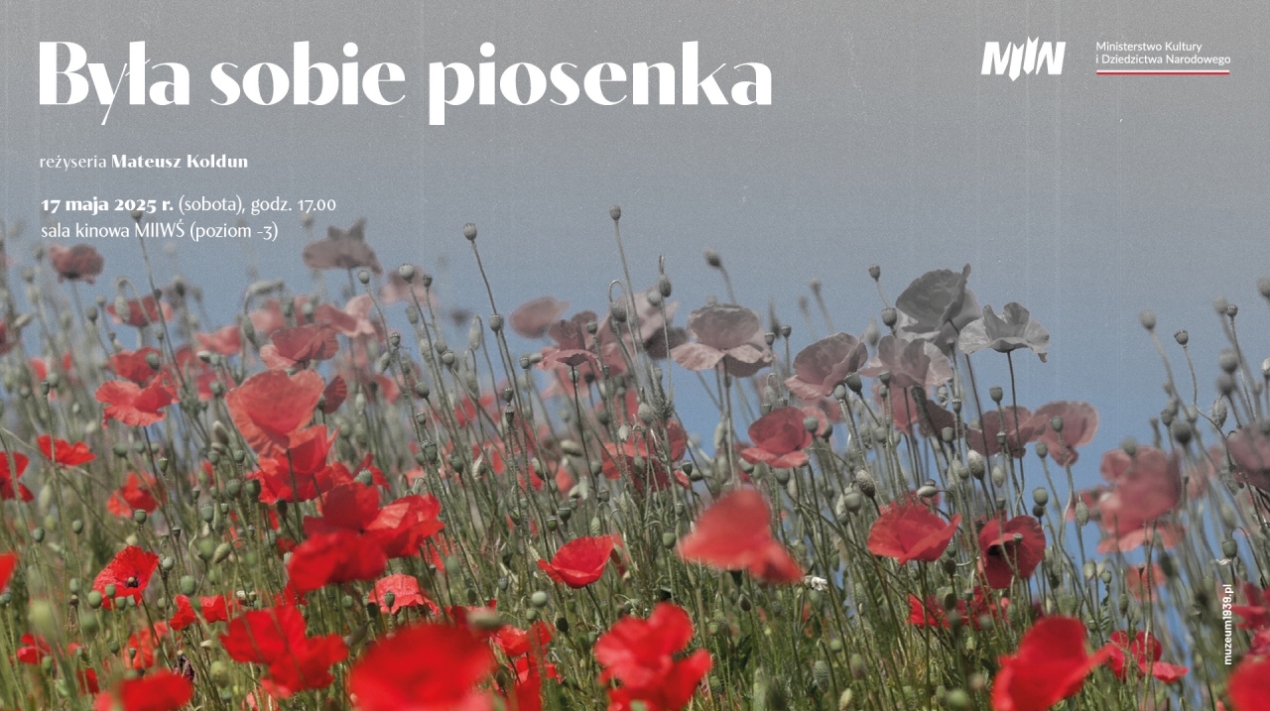 Grafika | czerwone maki na szarym tle nieba