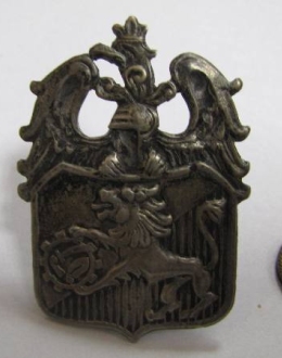 Odznaka pamiątkowa 6 Dywizji Piechoty ,,Lwów" wykonana w srebrze. Odznaka powstała w 1941 roku. Odznaka przedstawia orła trzymającego w szponach tarczę herbową Lwowa, nad która znajduje się szyszak husarski.