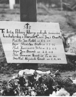 Grób polkich żółnierzy poległych w walkach o Narwik, źródło fot. NAC