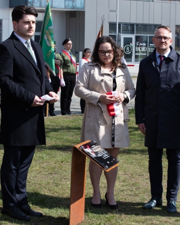 Dęby pamięci ofiar zbrodni katyńskiej posadzono przy Muzeum II Wojny Światowej w Gdańsku