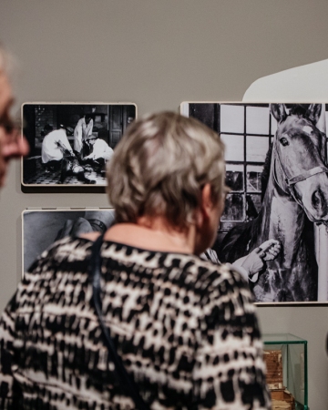 The exhibition “FAUNA. Animals at War and Their People” 