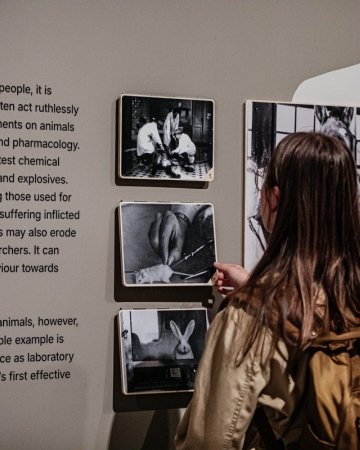 The exhibition “FAUNA. Animals at War and Their People” 