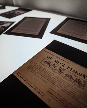 The exhibition “FAUNA. Animals at War and Their People” 