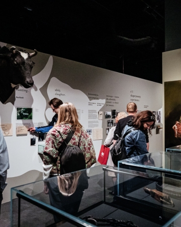 The exhibition “FAUNA. Animals at War and Their People” 