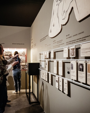 The exhibition “FAUNA. Animals at War and Their People” 