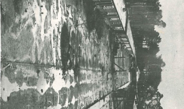  Teren KL Stutthof po wyzwoleniu. 1945 r. Fotografia ze zbiorów MIIWŚ.
