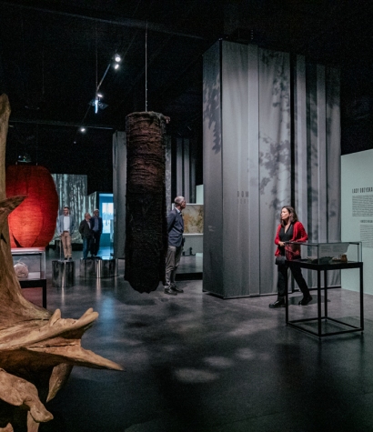 rada muzeum grupa zwiedzająca wystawę czasową las