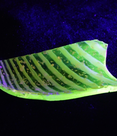 Fragment naczynia z uranowego szkła z 2. połowy XIX w. znaleziony wśród stłuczki szklanej i ceramicznej z okresu kurortu