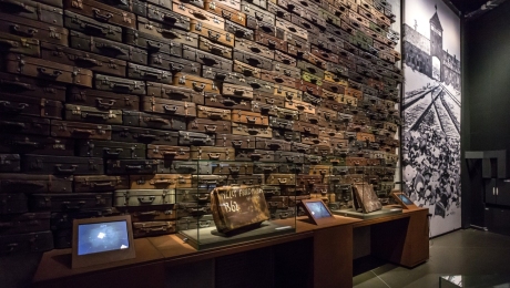 Stanowisko Muzeum II Wojny Światowej w Gdańsku w związku z wypowiedzią europosła Grzegorza Brauna
