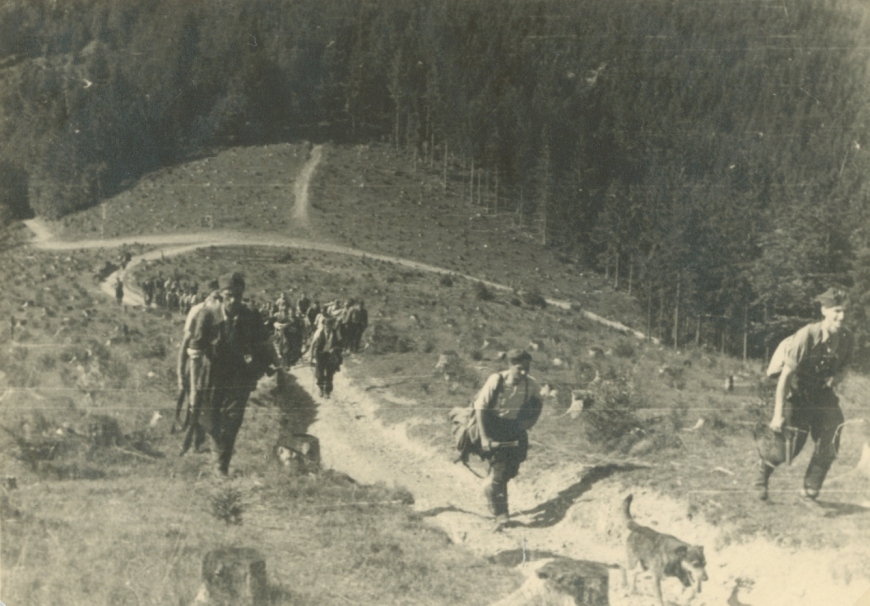 Żołnierze oddziału partyzanckiego „Luboń” wchodzącego w skład 1. Pułku Strzelców Podhalańskich AK. Gorce, 1944 r. (MIIWŚ)