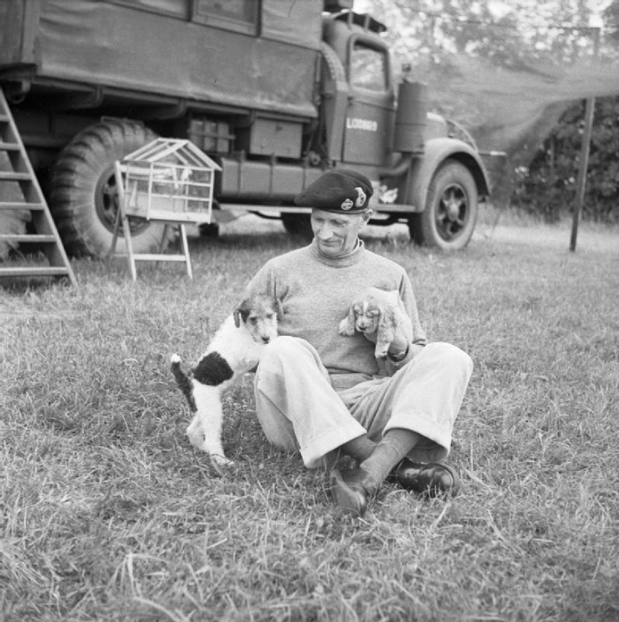 Generał Bernard Law Montgomery ze swoimi psami (Hitler i Roomel). 1939–1945 (domena publiczna)