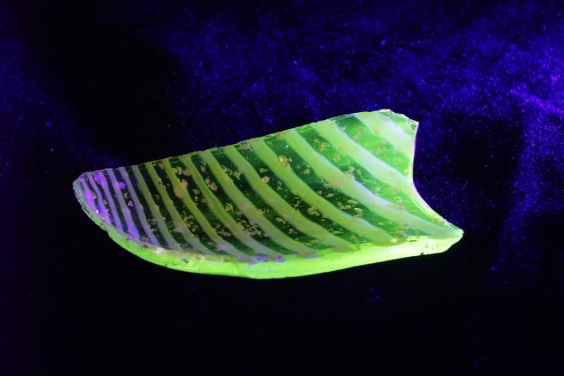 fragment-naczynia-z-uranowego-szkla-z-2 -polowy-xix-w -znaleziony-ws-ro-d-stluczki-szklanej-i-ceramicznej-z-okresu-kurortu 