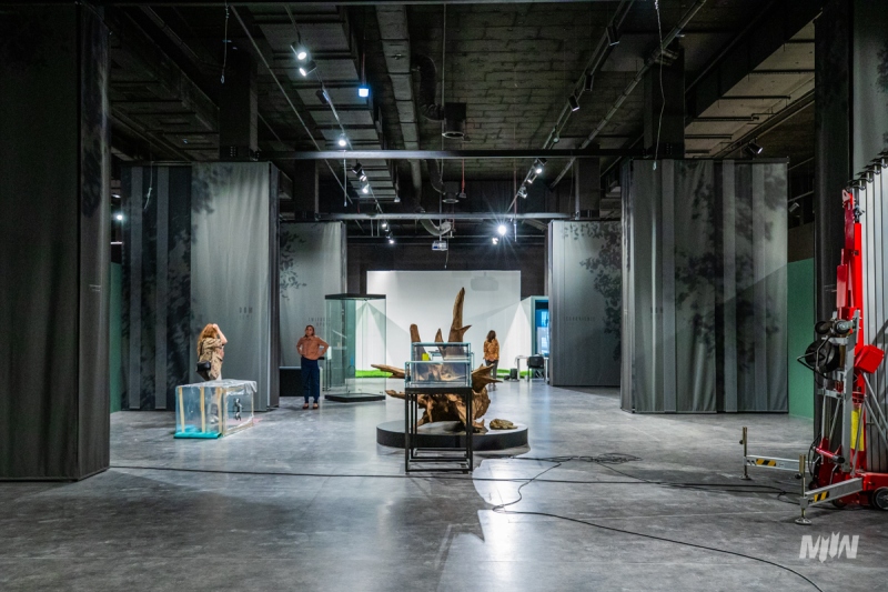 Wystawa Czasowa: LAS - Schronienie Ofiar. Kryjówka Zbrodni