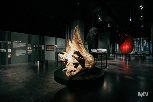 LAS - Schronienie Ofiar. Kryjówka Zbrodni