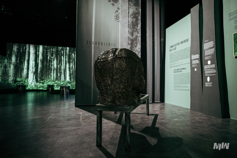 Wystawa Czasowa: LAS - Schronienie Ofiar. Kryjówka Zbrodni