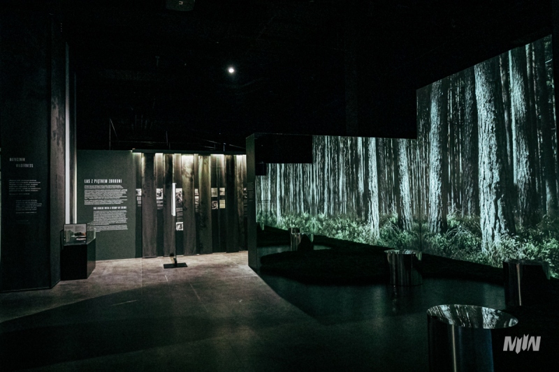 Wystawa Czasowa: LAS - Schronienie Ofiar. Kryjówka Zbrodni