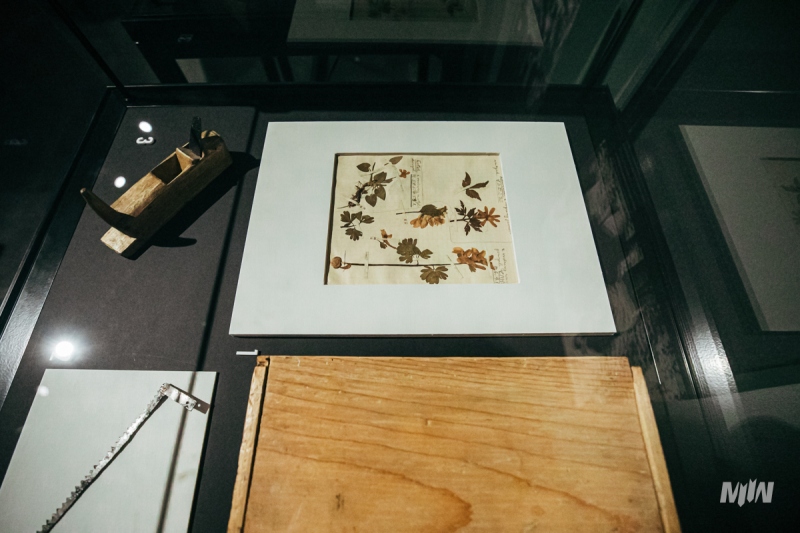 Wystawa Czasowa: LAS - Schronienie Ofiar. Kryjówka Zbrodni