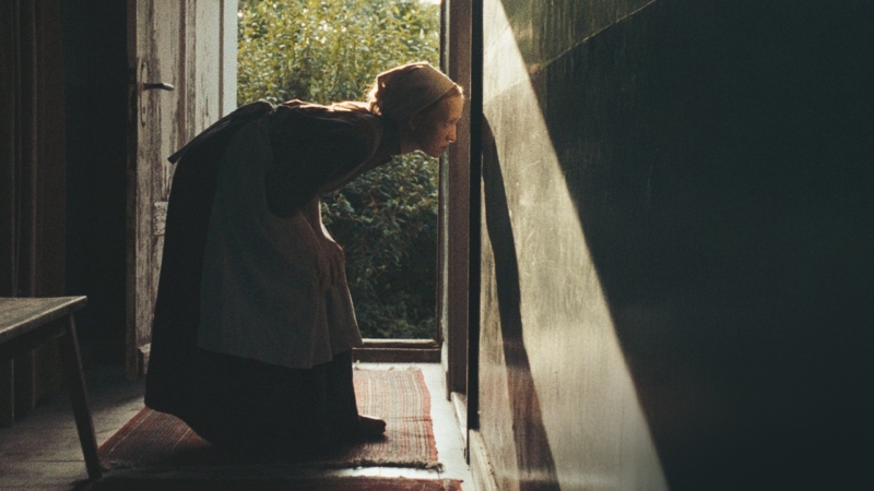 WPATRUJĄC SIĘ W SŁOŃCE (Przedpremiera)