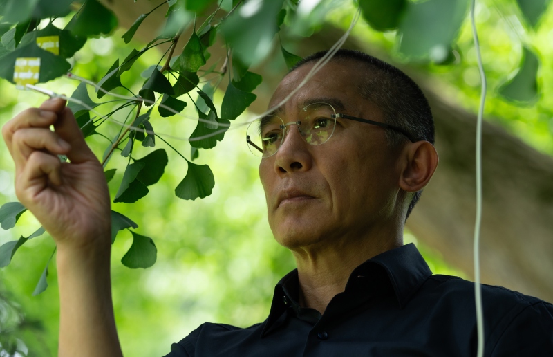 MILCZĄCA PRZYJACIÓŁKA