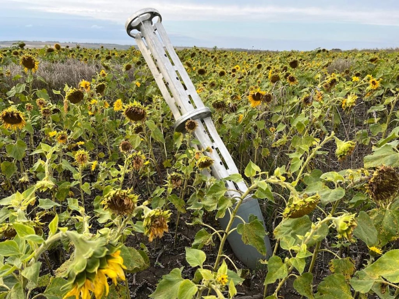 Pole w okolicach Iziumi, obwód charkowski. Fot. Jurij Sawczuk / 2022