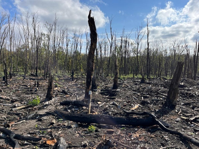 Iziumi, obwód charkowski. Fot. Jurij Sawczuk / 2022