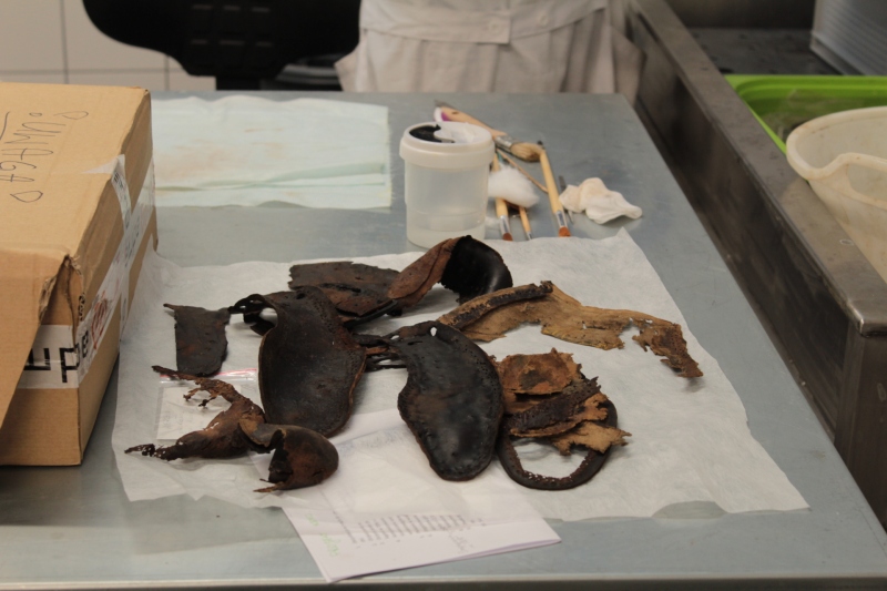 SPOTKANIE WOLONTARIUSZY MIIWŚ Z OKAZJI PRZEKSZTAŁCENIA ZWZ W AK