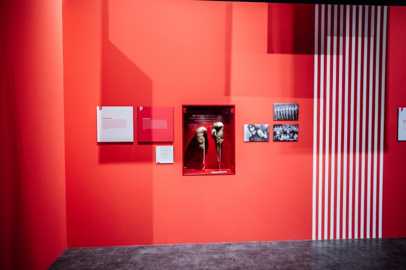 Wystawa czasowa „W sporcie siła. Historia Klubu Sportowego Gedania”