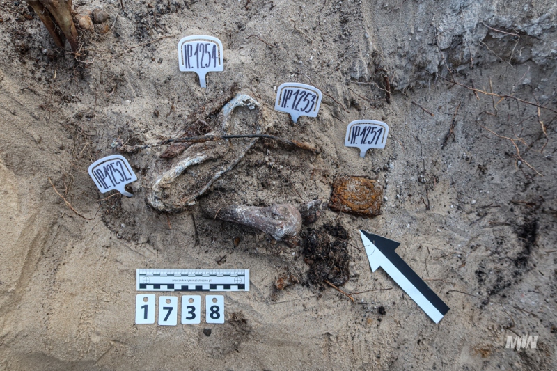 2.	Przedmioty in situ znalezione przy szczątkach niemieckich żołnierzy: stalowa klamra pasa Luftwaffe, menażka oraz ładownica i fragment paska