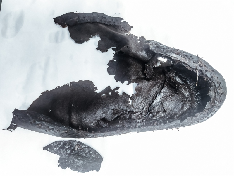 Cykl #ZobaczKonserwacjeMIIWŚ - skórzane buty z okresu II wojny światowej wydobyte podczas wykopalisk archeologicznych