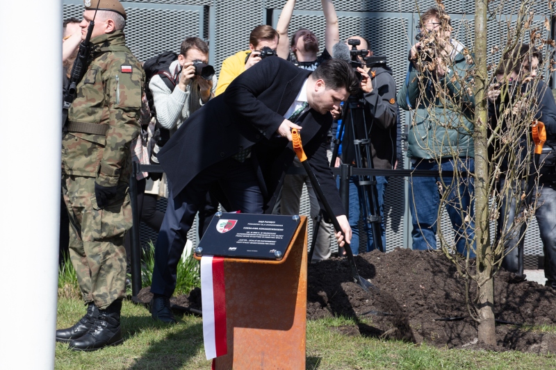 Dęby pamięci ofiar zbrodni katyńskiej posadzono przy Muzeum II Wojny Światowej w Gdańsku