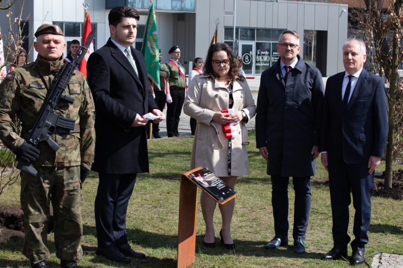Dęby pamięci ofiar zbrodni katyńskiej posadzono przy Muzeum II Wojny Światowej w Gdańsku