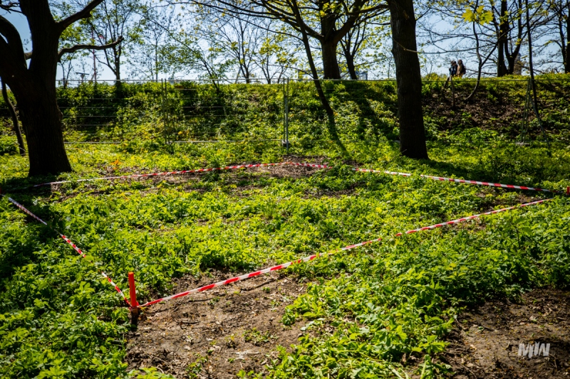 10. etap badań archeologicznych na Westerplatte