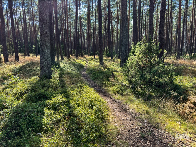 Historical Tourism – Reconnaissance as Part of Work on New Offerings at the Museum