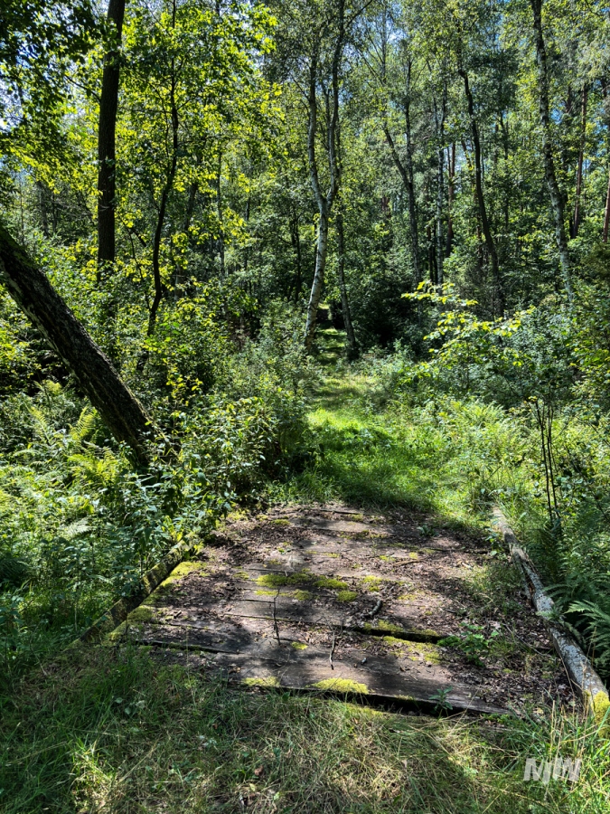 Historical Tourism – Reconnaissance as Part of Work on New Offerings at the Museum