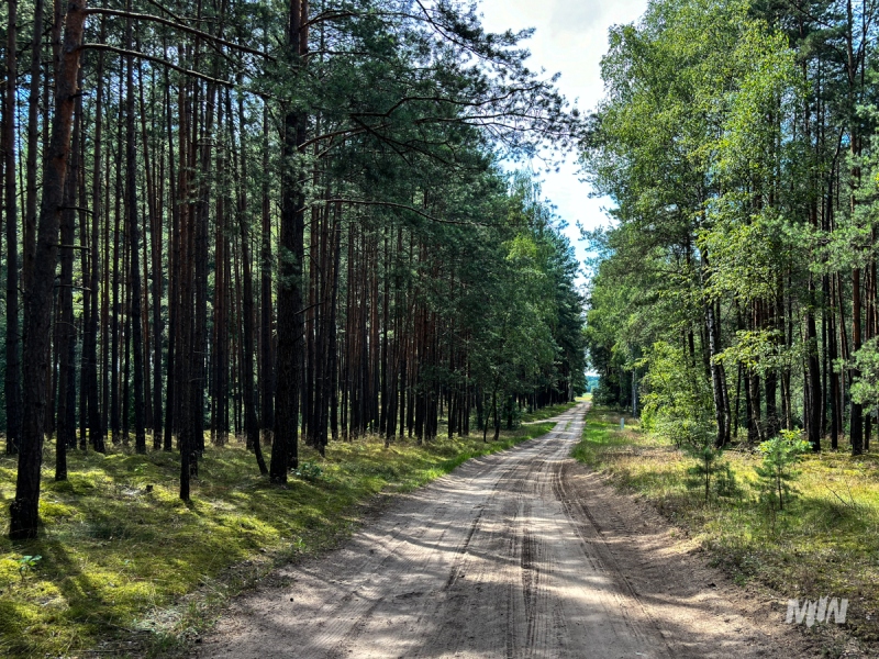 Historical Tourism – Reconnaissance as Part of Work on New Offerings at the Museum