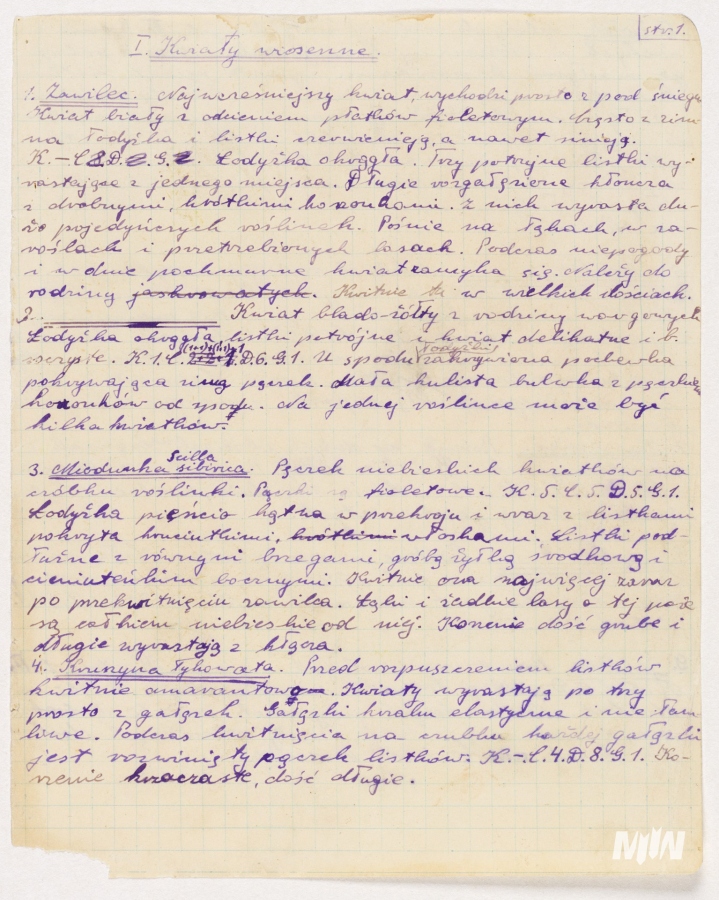 Cykl #PoznajZbioryMIIWŚ - ususzone rośliny i fragmenty gazet lub ulotek należących do kilkunastoletniego Stanisława Ścibor - Marchockiego