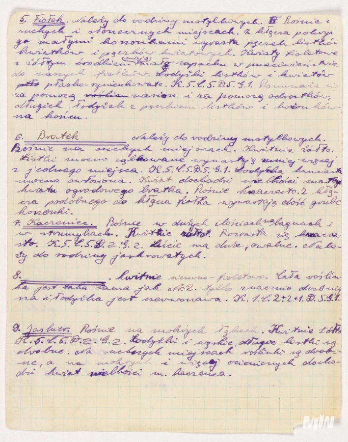 Cykl #PoznajZbioryMIIWŚ - ususzone rośliny i fragmenty gazet lub ulotek należących do kilkunastoletniego Stanisława Ścibor - Marchockiego