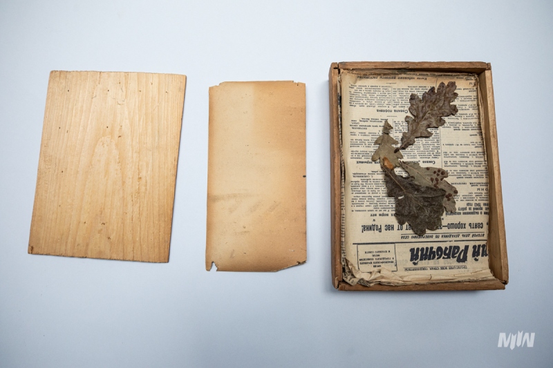 Cykl #ZobaczKonserwacjeMIIWŚ - ususzone rośliny i fragmenty gazet lub ulotek należących do kilkunastoletniego Stanisława Ścibor - Marchockiego