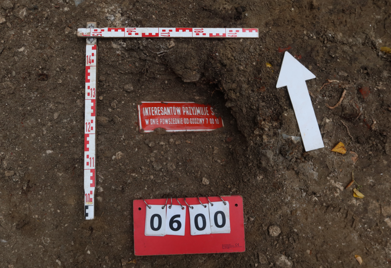 TIn situ plate in the layers of the crater’s backfill
