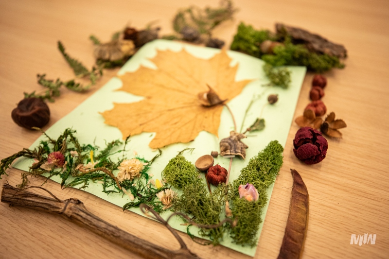 Nowa oferta edukacyjna do wystawy czasowej LAS. SCHRONIENIE OFIAR | KRYJÓWKA ZBRODNI - rodziny z dziećmi