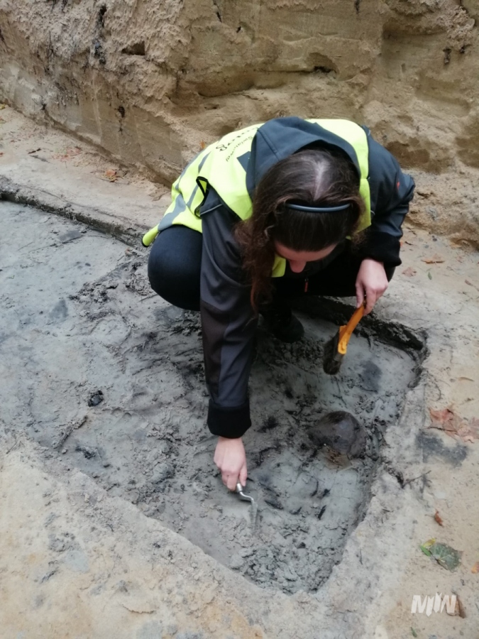 Another Discovery at Westerplatte