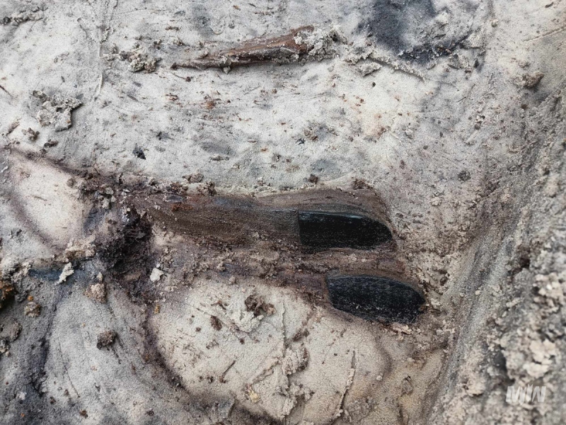 Another Discovery at Westerplatte