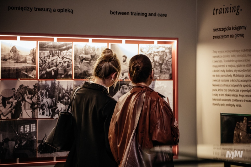 The exhibition “FAUNA. Animals at War and Their People” 