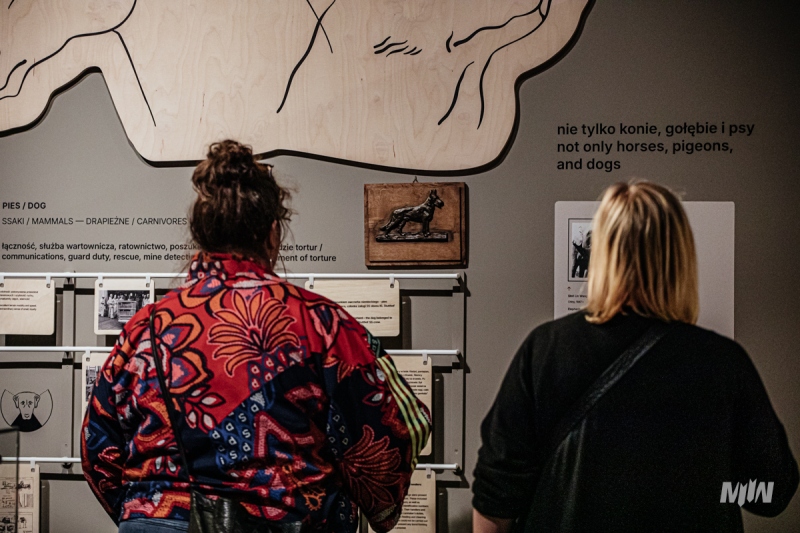 The exhibition “FAUNA. Animals at War and Their People” 