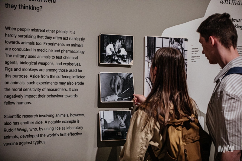 The exhibition “FAUNA. Animals at War and Their People” 