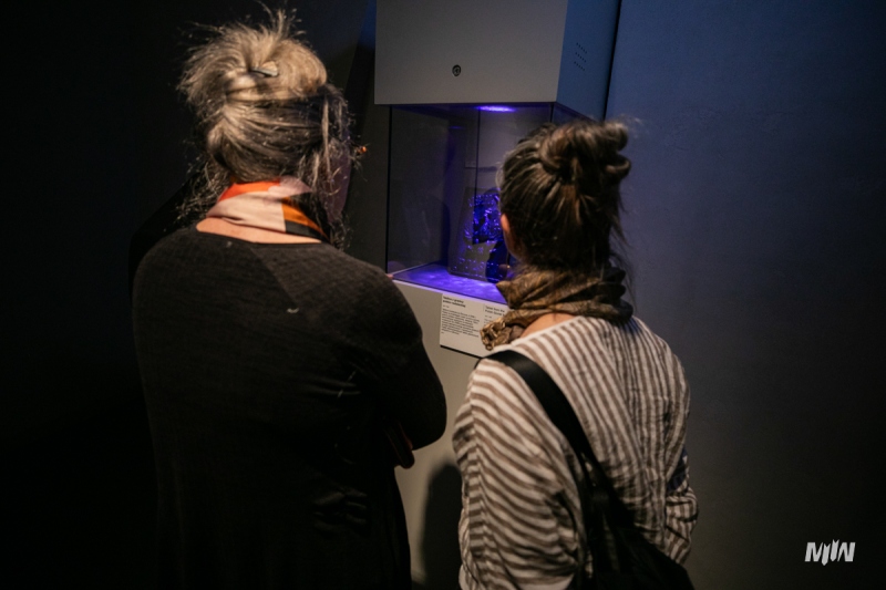 Do MIIWŚ trafiła kolekcja negatywów rotmistrza Jana Romanowskiego, adiutanta gen. Władysława Andersa