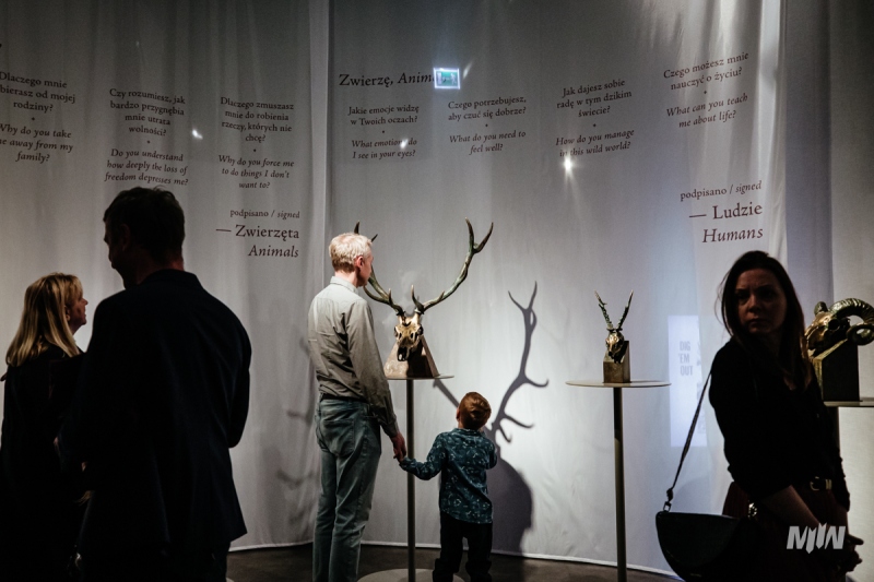 The exhibition “FAUNA. Animals at War and Their People” 