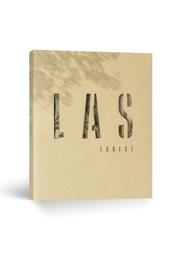 Las. Schronienie ofiar, kryjówka zbrodni / Forest. A shelter for victims, a crime hiding place